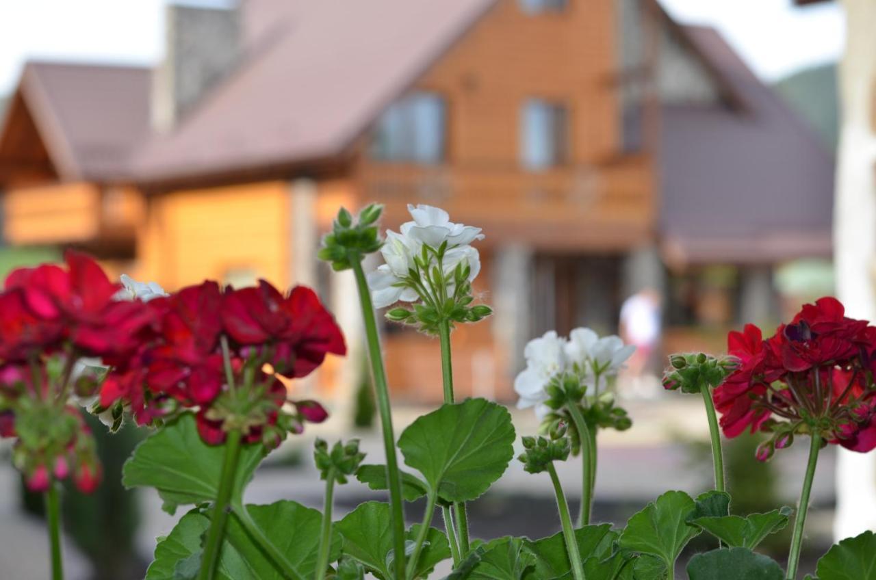 ホテル Sribni Rosy マイコリチン エクステリア 写真